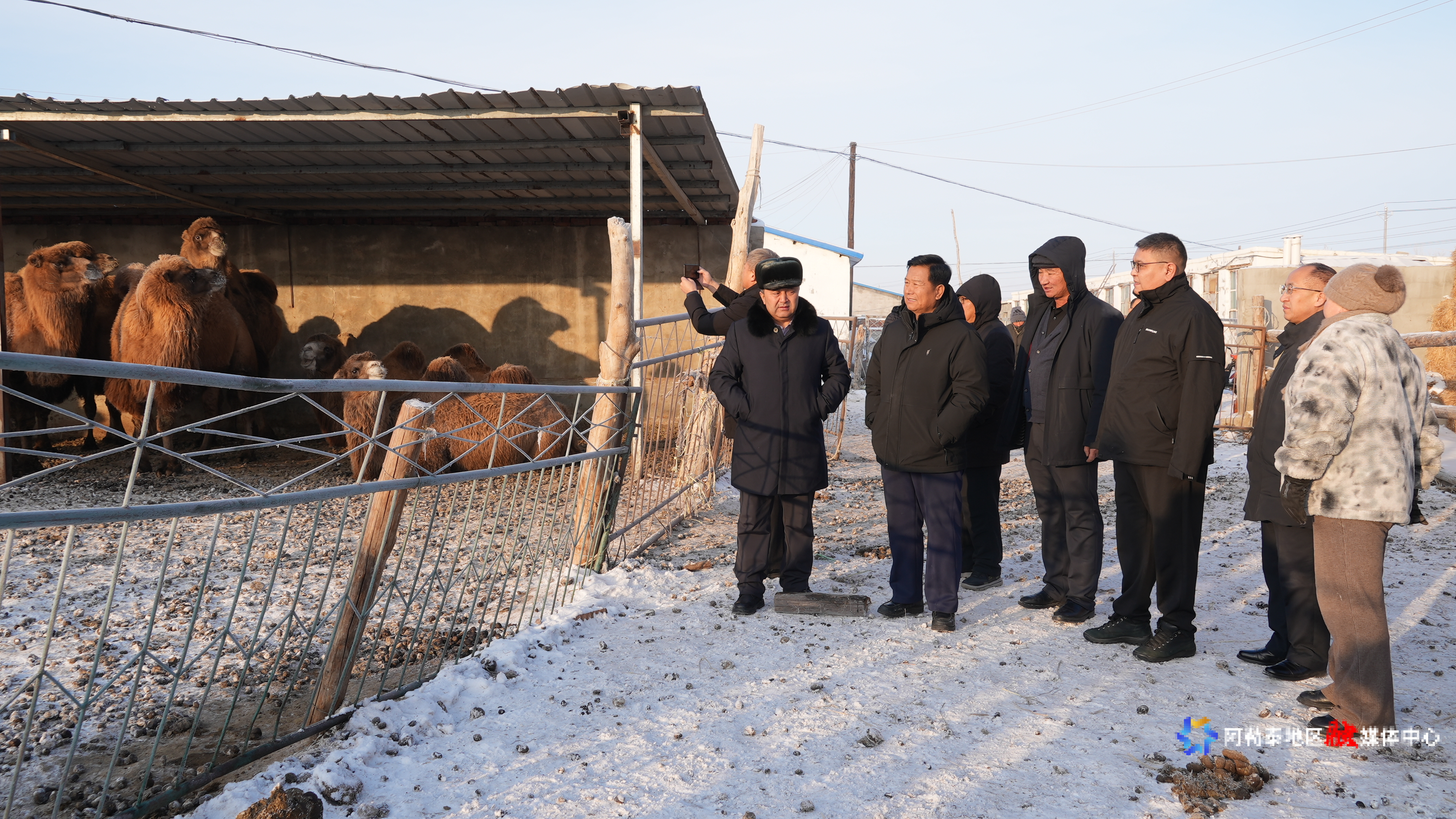 mmexport1735137194026