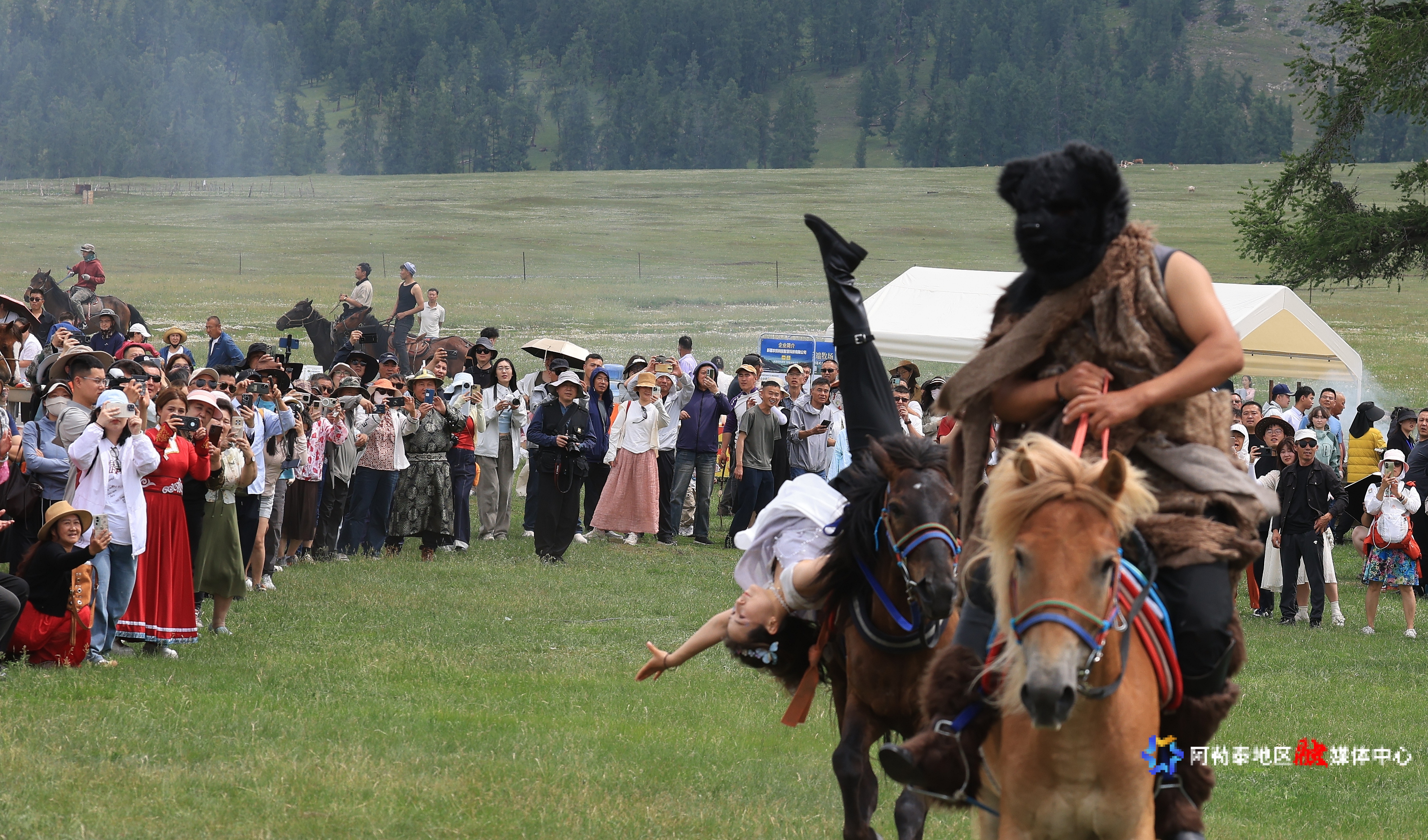 f7b5e87277f884e445db70af936b171f