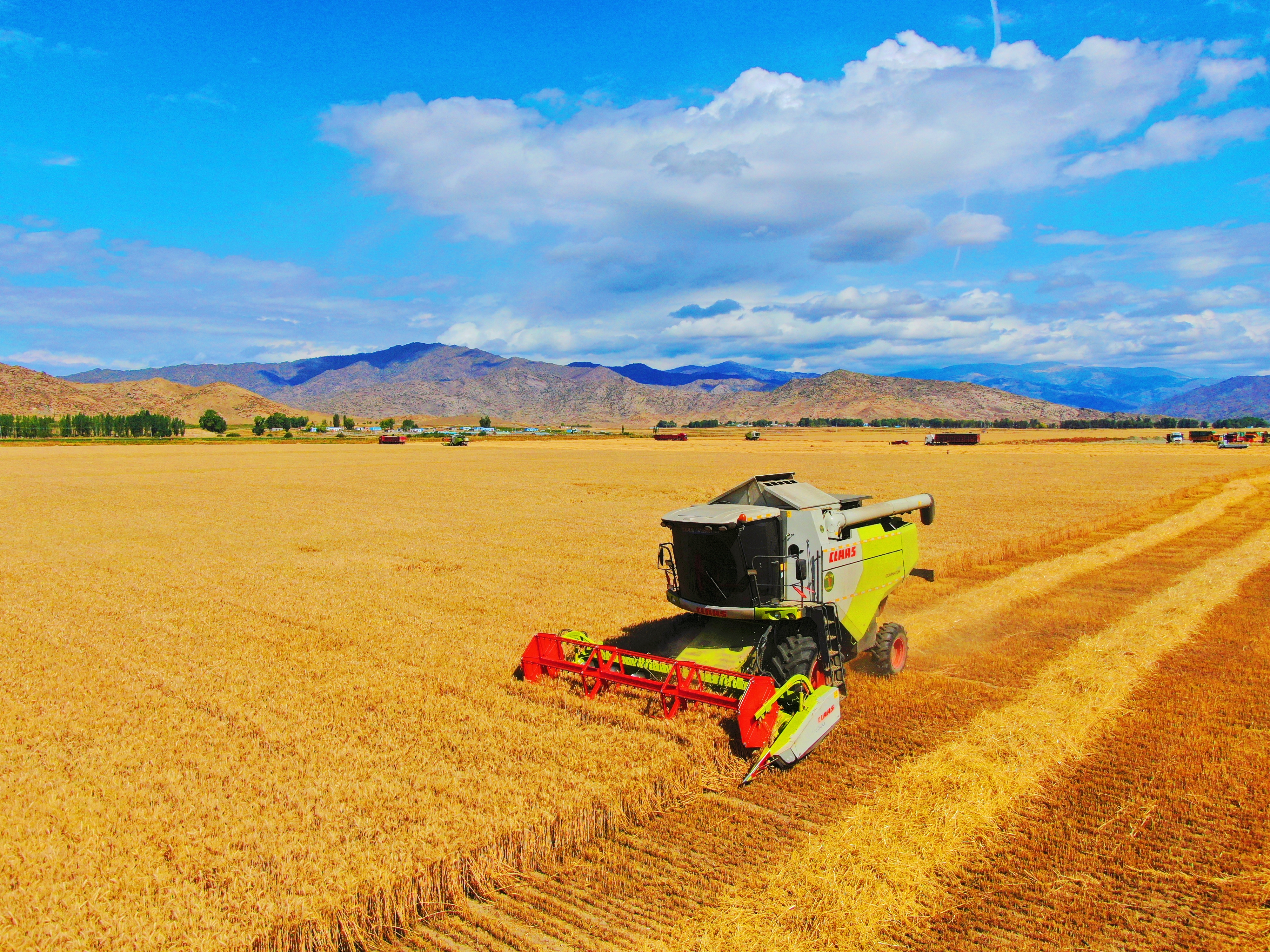 mmexport1758091199016